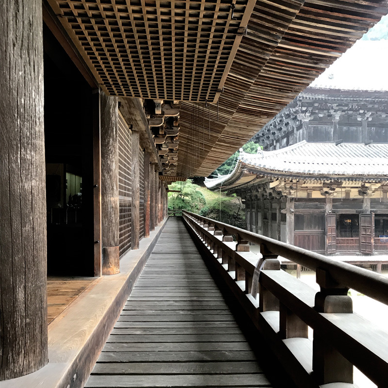 圧巻の縁側。ここは古いもの以外全く目に入らないので、時代もののロケ地としては最適ですね。