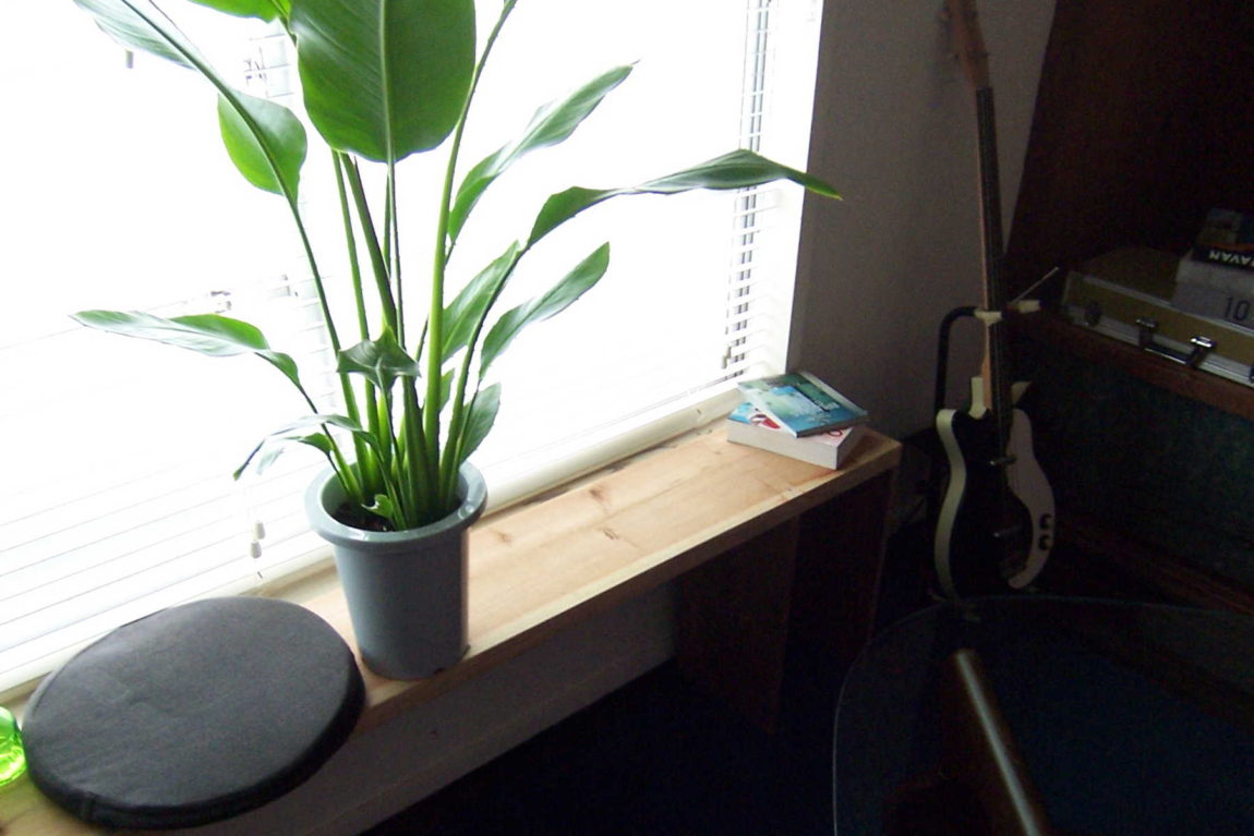 朝日の入る東向きの開口。