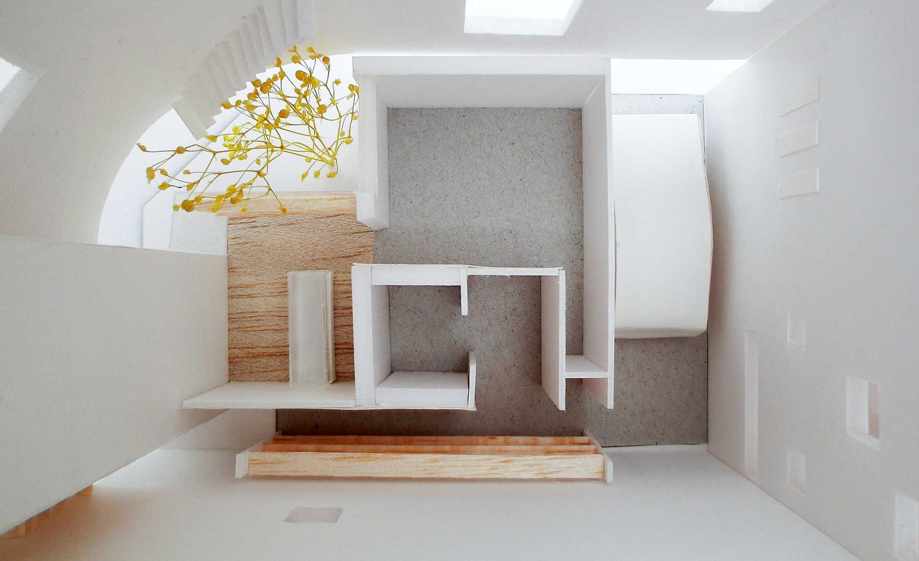 1F平面。ベーグル屋さんとビルトインガレージ。シンボルツリーに沿って2階の教室への独立アプローチ。