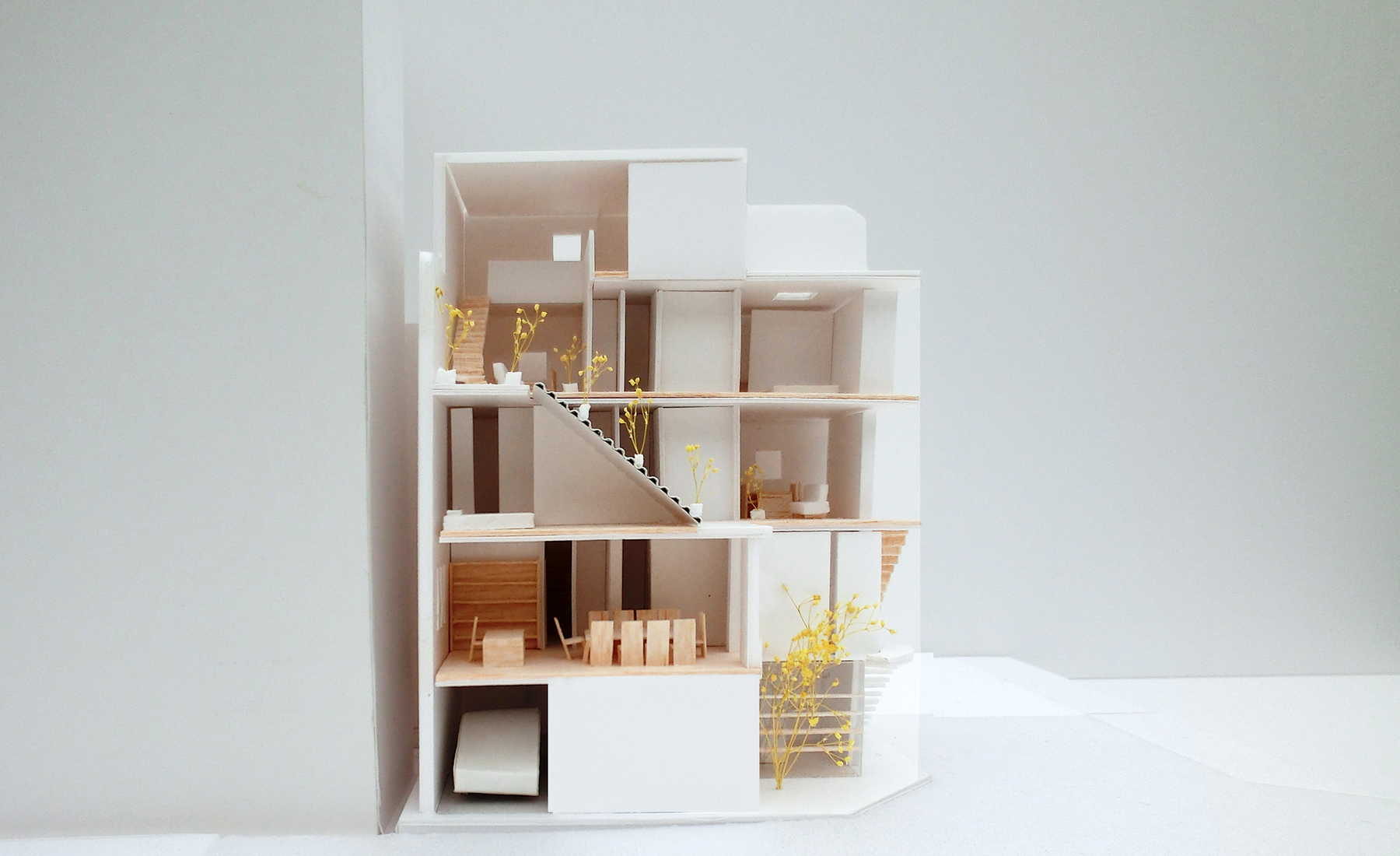 南北断面図。１陣の螺旋階段が建物を旋る。