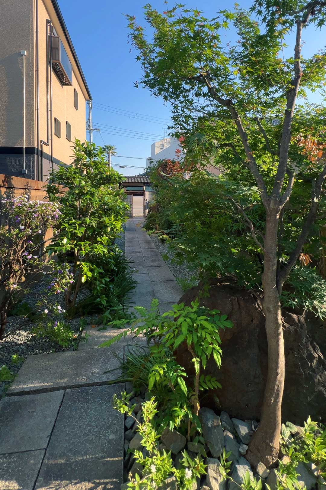 旗竿アプローチ見返し。植栽と石組みを再構成。